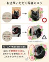 お送りいただく写真の撮影のコツを記載します。被写体が中央にくるように余白に余裕をもって撮影してください。