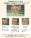 写真プリントの顔の大きさを選べます。顔アップ、全体、顔アップと全体の中間が選べます。おじいちゃん、おばあちゃんへのプレゼントが人気です。
