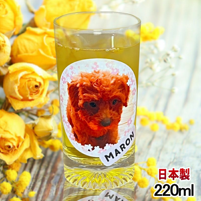 名入れ写真プリント 名前入り グッズ で世界に一つだけのプレゼント！お祝いや記念品に是非どうぞ！