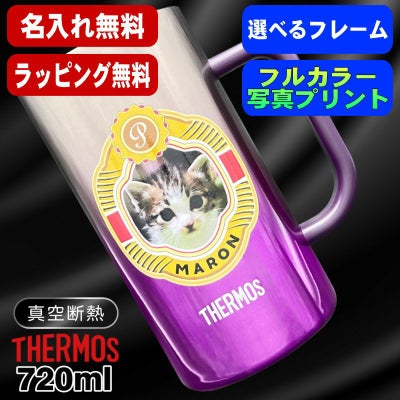写真入り ビールジョッキ サーモス 名入れ プレゼント 真空断熱 保温 保冷 ステンレス 名前入り ペット うちの子 写真 グッズ 犬 猫 ペットオリジナルグッズ プリント 印刷 ビアグラス おしゃれ ビールグラス ギフト 720ml 青緑 紫 JDK-721C 単品 ビアジョッキ PSYN-17